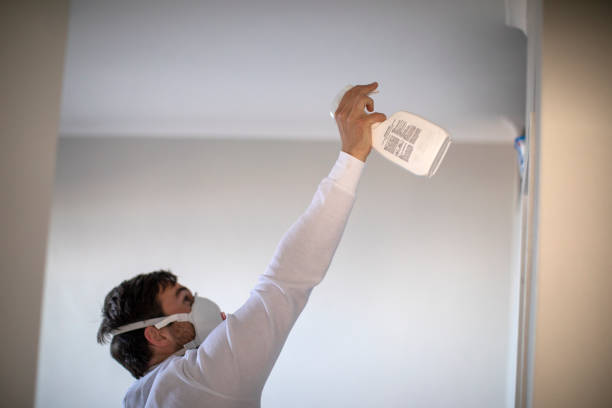Best Best Mold Removal Companies  in Lock Haven, PA