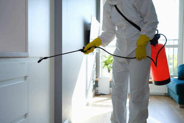 Best Mold Testing and Removal  in Lock Haven, PA